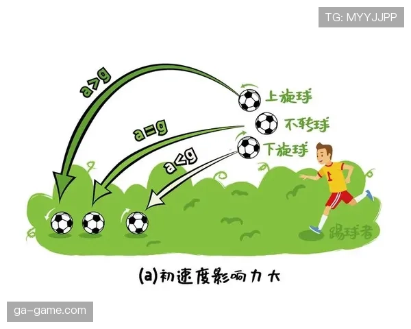 从纯破坏到简单出球：帕利尼亚的数据进化